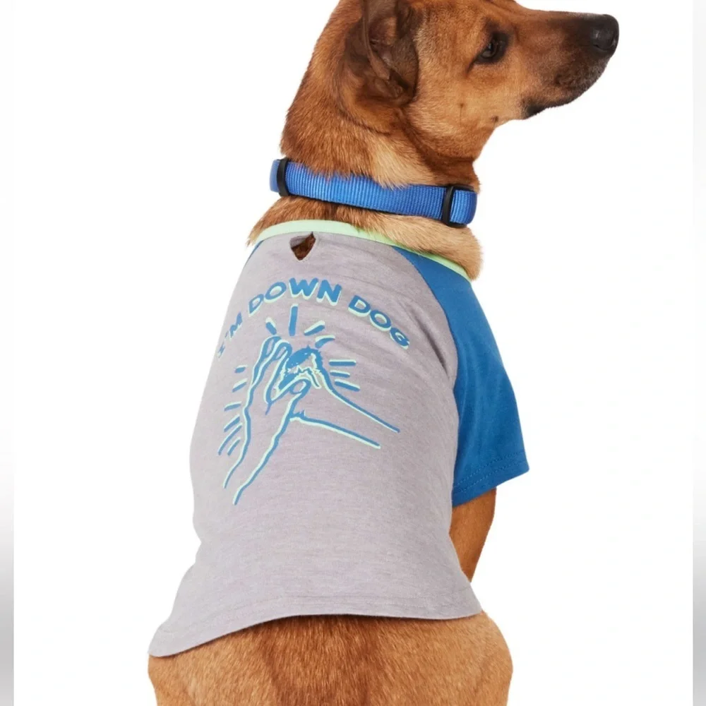 NWT Youly “the Comic” Down Dog T-shirt M